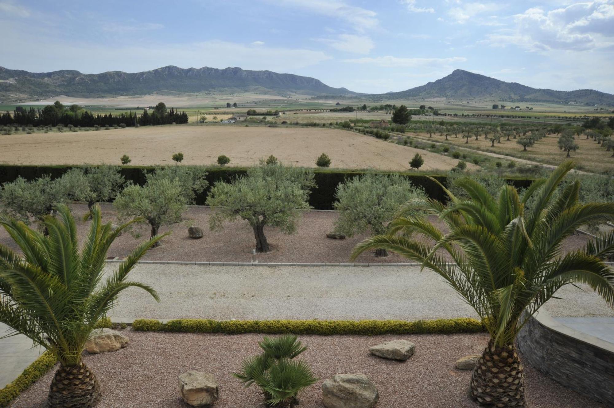 Villa Campo Premium Yecla Esterno foto